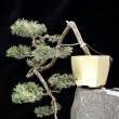 r.2012 - �ervenec
