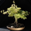 r.2012 - kv�ten