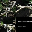 P�ik�jen� - �erven 2010