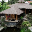 kv�ten 2009