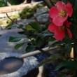 Tsukubai