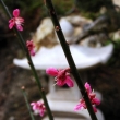 b�ezen 2008