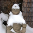 �nor 2008