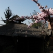 U �ajovny