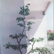 r.2000 - kv�ten