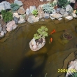 kv�ten 2006