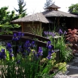 kv�ten 2009