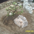 Kv�ten 2006 - druh� stanovi�t� ve voln�