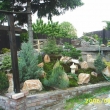 kv�ten 2006