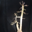 Duben 2011