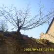 r.2005 - p�vodn� stanovi�t�