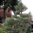 Duben 2012 prd protrhnm jehlic