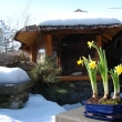 �nor 2010
