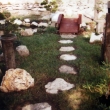 Srpen 2004 - konec lta