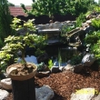 kv�ten 2006