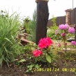 kv�ten 2005