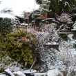 Posledn� b�eznov� den