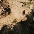 Z��� 2003 - v�kop