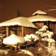 Leden 2010