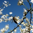 Ne�navn�...