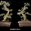 Duben 2013