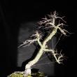 r.2009 - duben