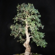 r.2012 - ervenec