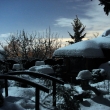 Posledn� lednov� noc v zahrad�
