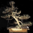 Duben 2012 - protrhan�