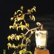 r.2006