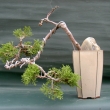r.2004