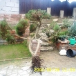 bezen 2005