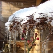 �nor 2009 (bez koment��e)
