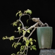 r.2011 �ervenec