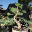 Duben 2009  - po prost��h�n�