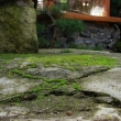 St�rneme v�ichni...