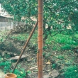 r.2002 - jaro