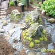 erven 2006