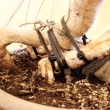 r.2009 - p�ik�jen� (leden)