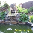 �ervenec 2005