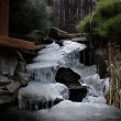 Ledop�d