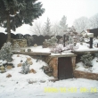 �nor 2006
