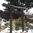 leden 2009