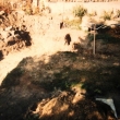 Z��� 2003 - v�kop