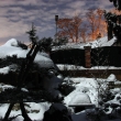 Posledn� lednov� noc v zahrad�