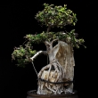 r.2014 - �ervenec