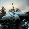 Posledn� lednov� noc v zahrad�