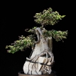 r.2014 - �ervenec